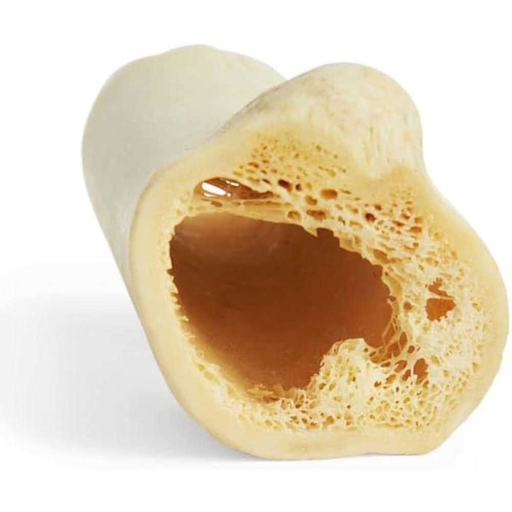 Hollow Bone for Dogs A500183