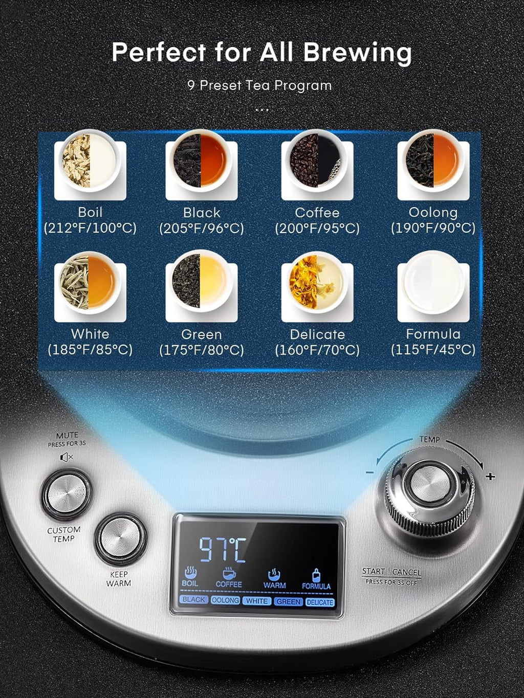 Electric Tea Kettle with Removable Infuser, Temperature Control, 1.7L B580106