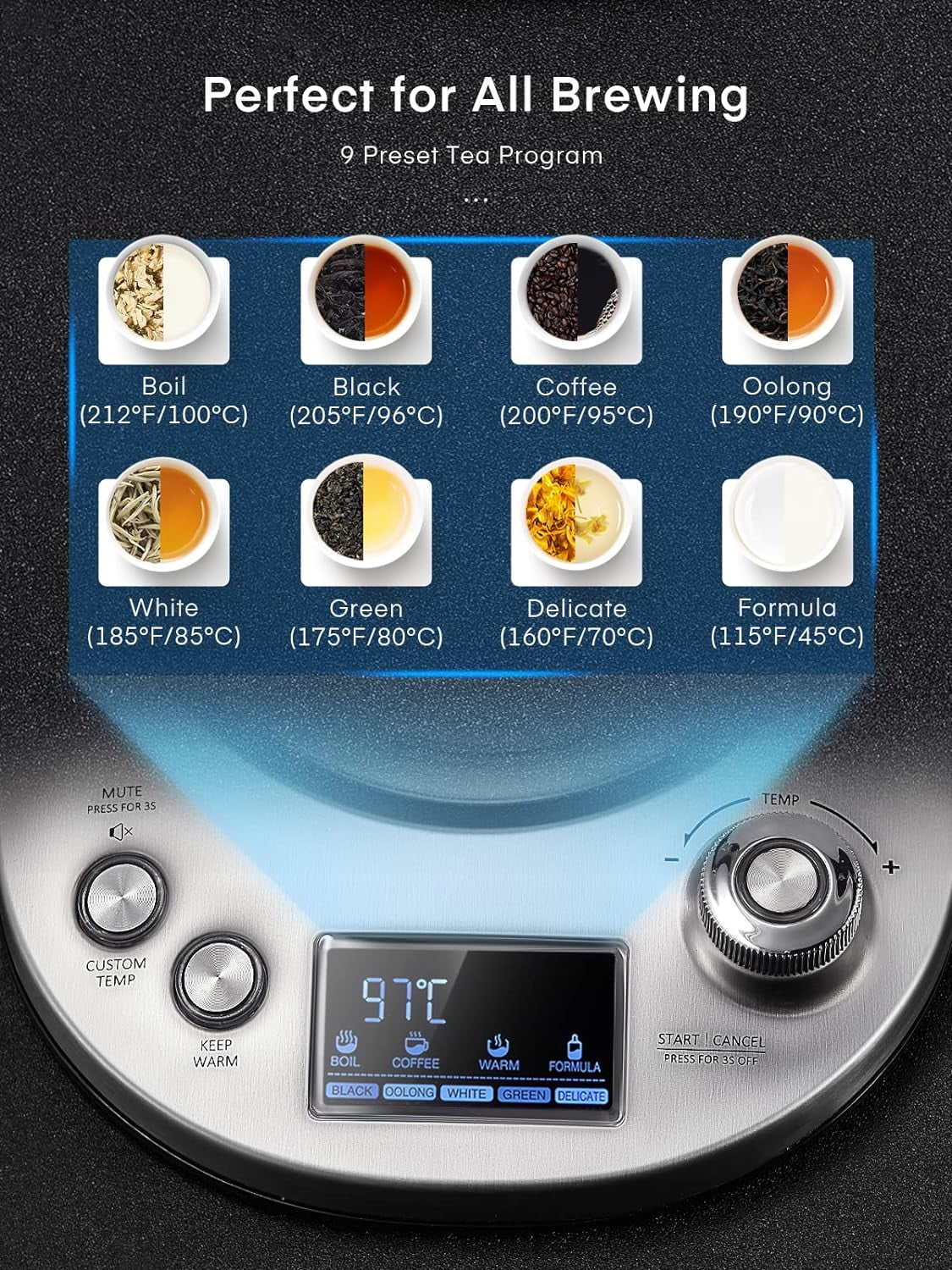 Electric Tea Kettle with Removable Infuser, Temperature Control, 1.7L B580106