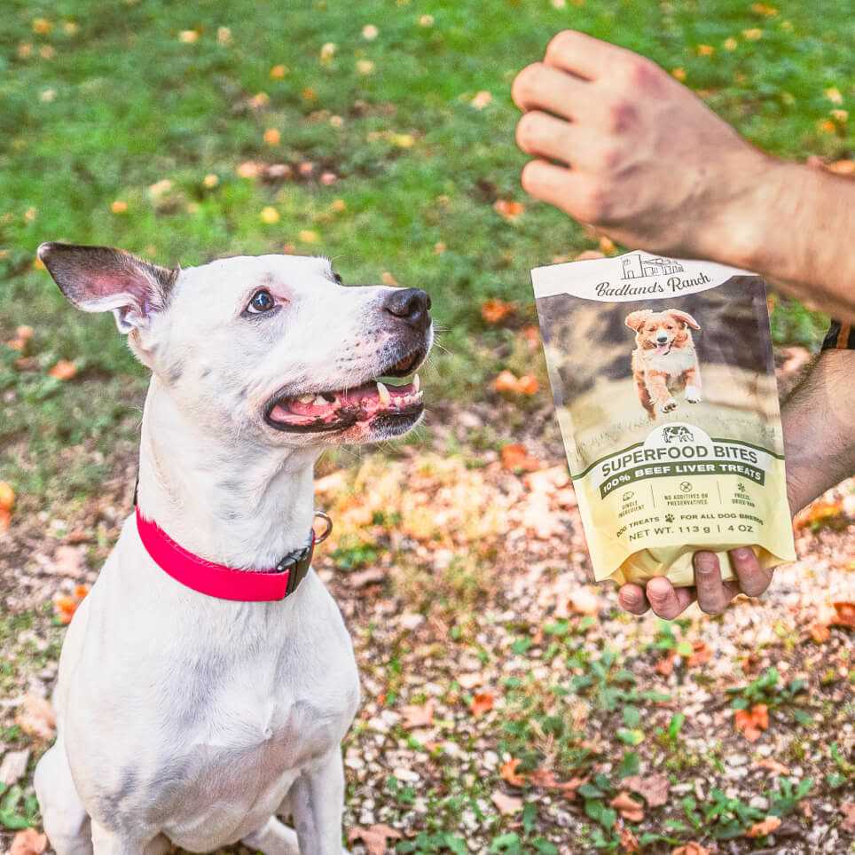 Beef Liver Superfood Bites Dog Treats, 4 oz K294