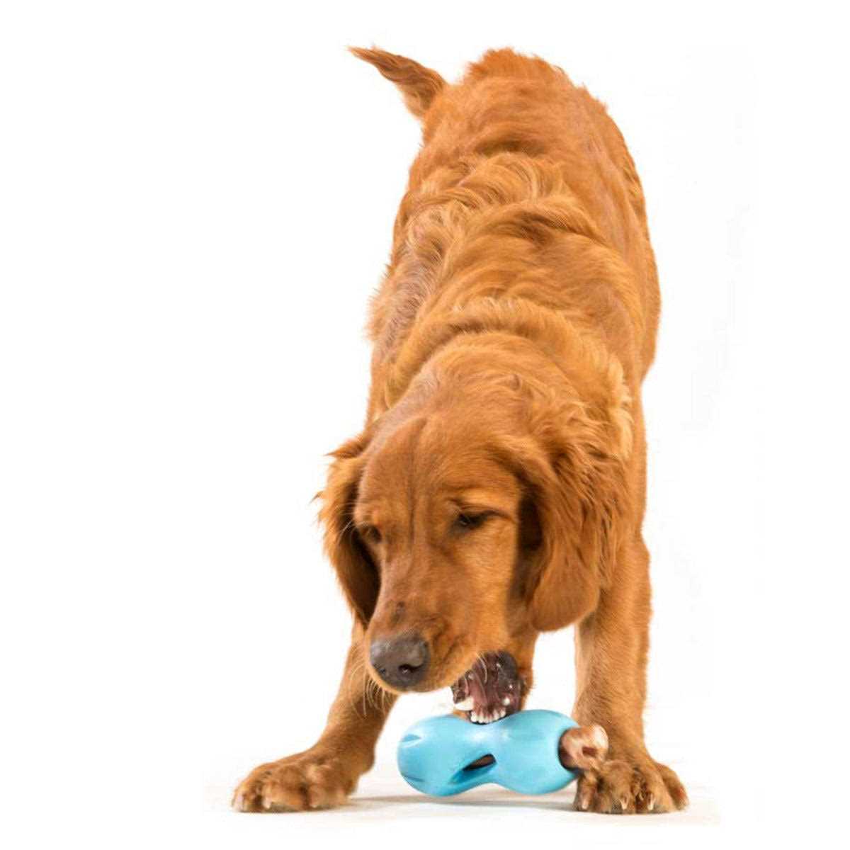 Dog Toy V8531