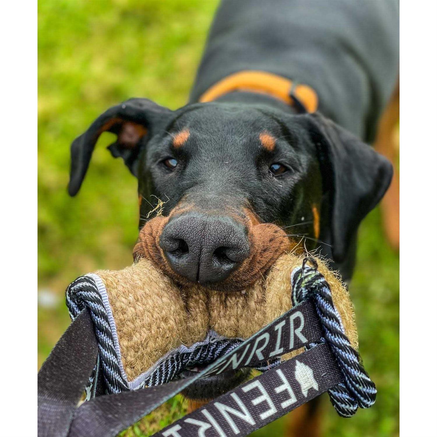 Jute Tug Toy for Pets K18921