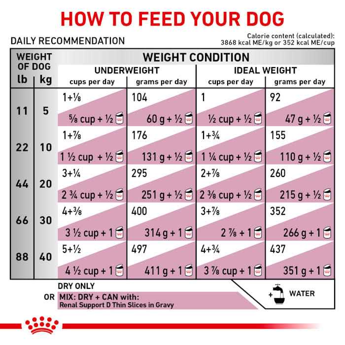 Renal Support Dry Dog Food Y94545