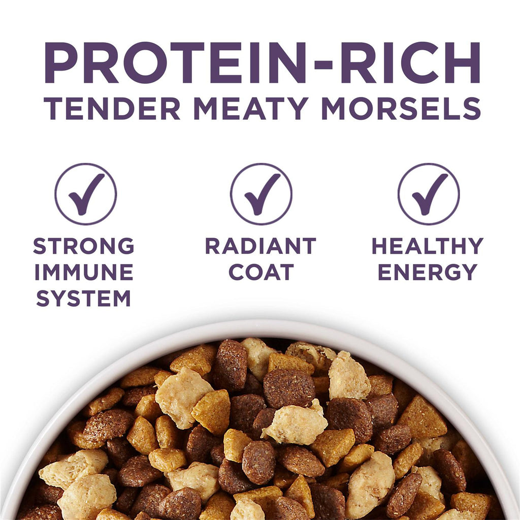 Adult Dry Dog Food for Senior Dogs H580951