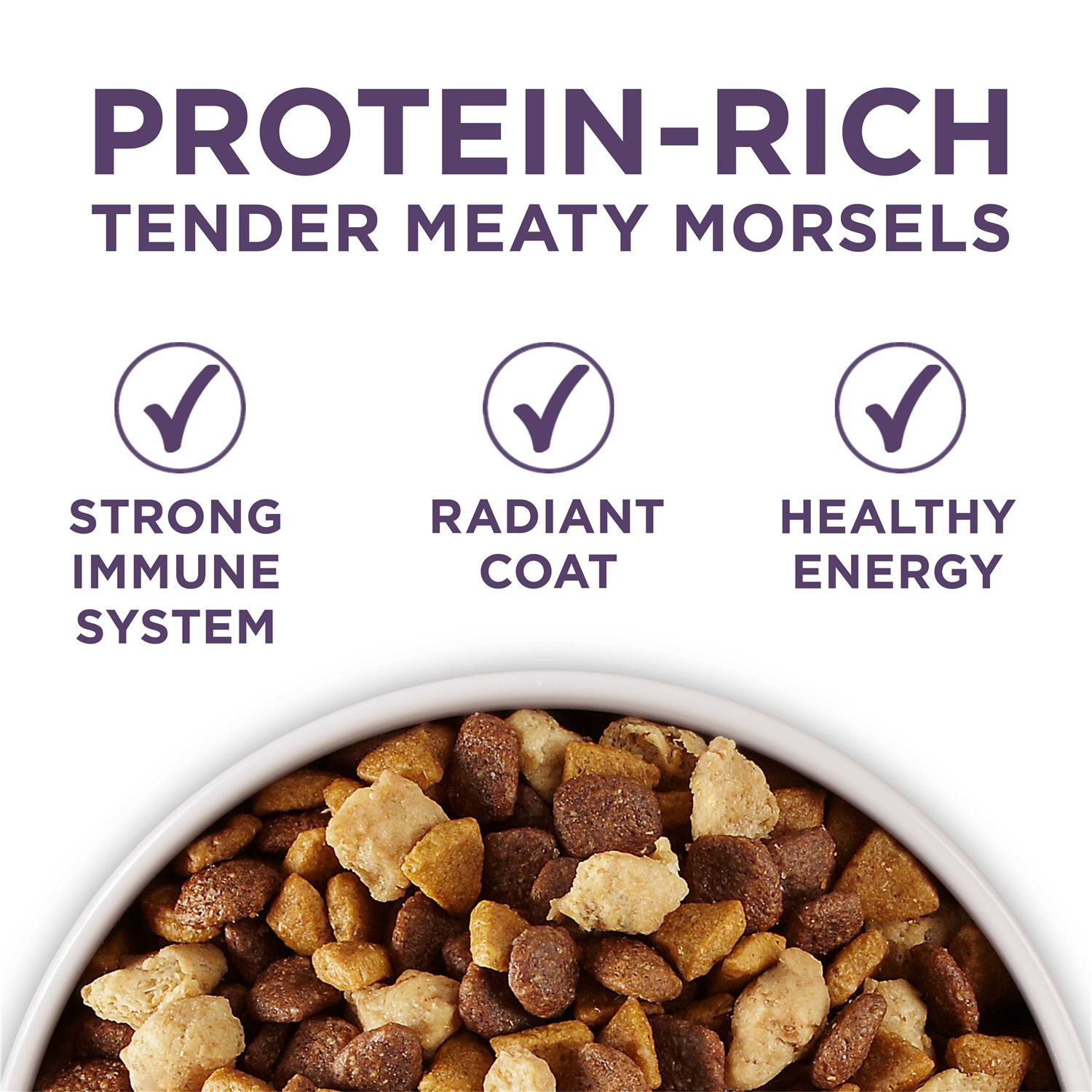 Adult Dry Dog Food for Senior Dogs H580951