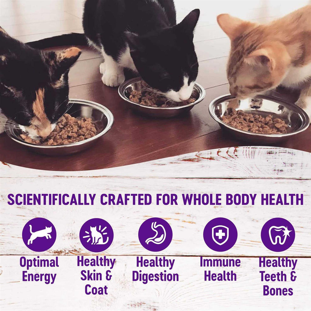 Chicken & Turkey Pate Variety Pack for Cats M1475