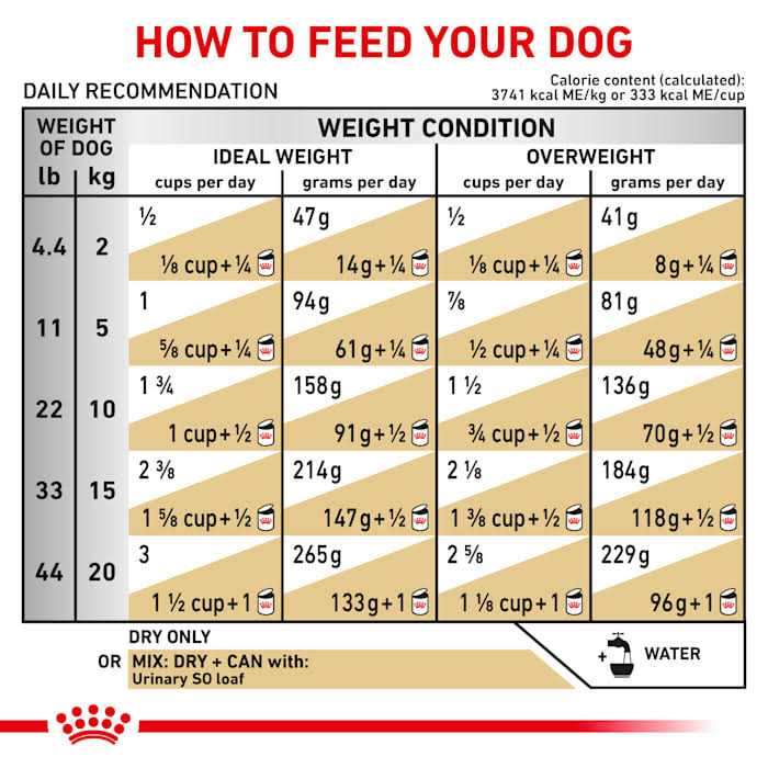 Urinary So Dry Dog Food Z763