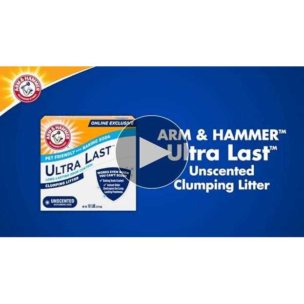 Unscented Clumping Cat Litter N18306