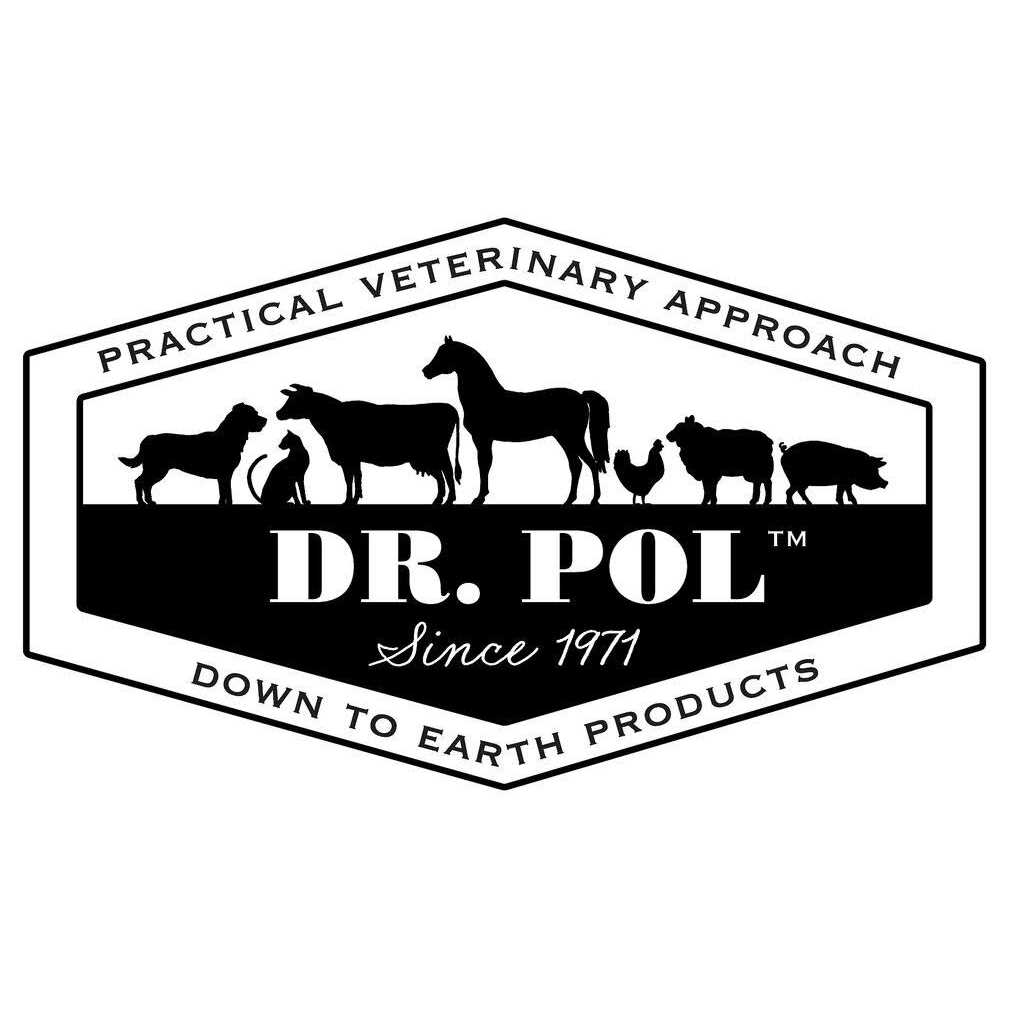 Grain-Free Dog Food L6168
