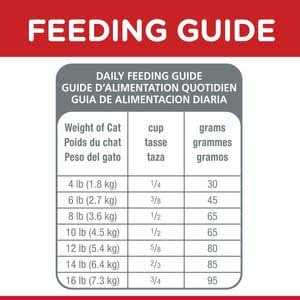 Adult Dry Cat Food V52226
