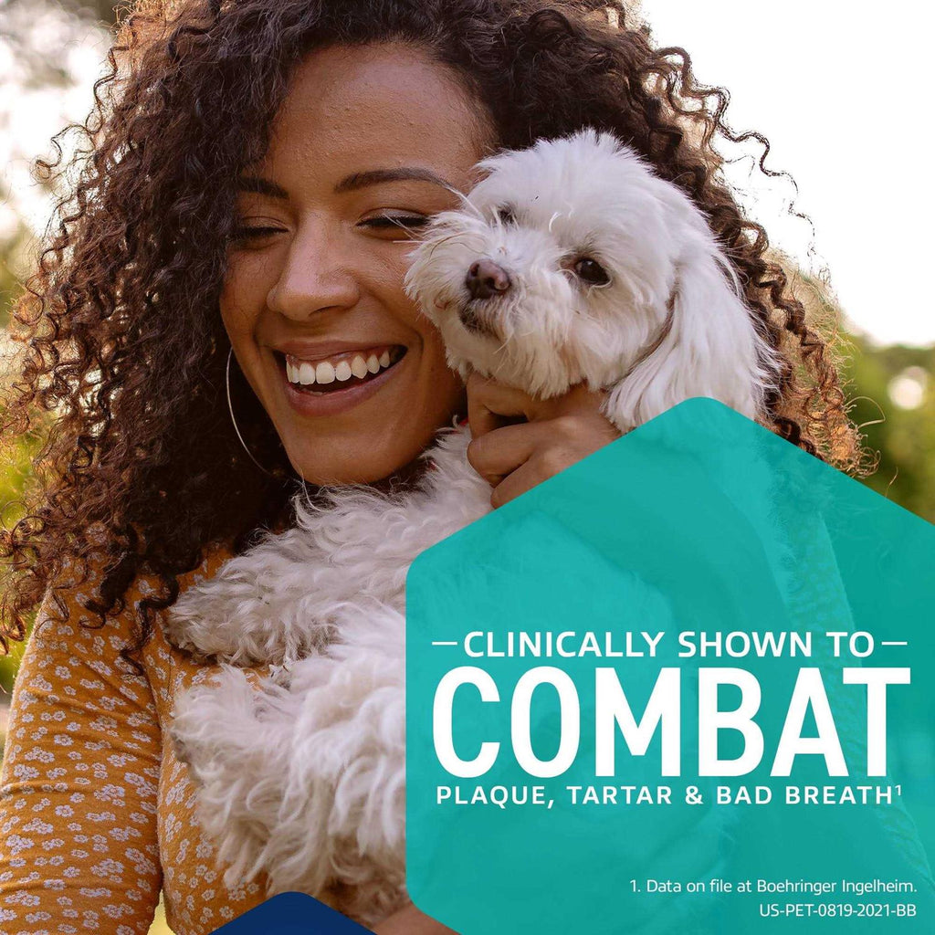 Dental Hygiene Chews for Dogs B7450