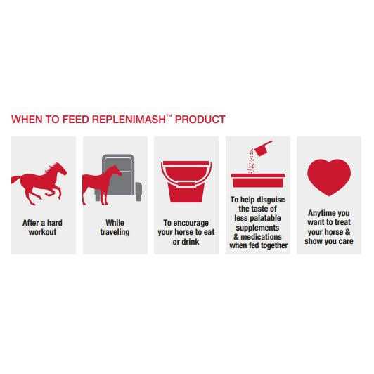Pet Supplies online store V481
