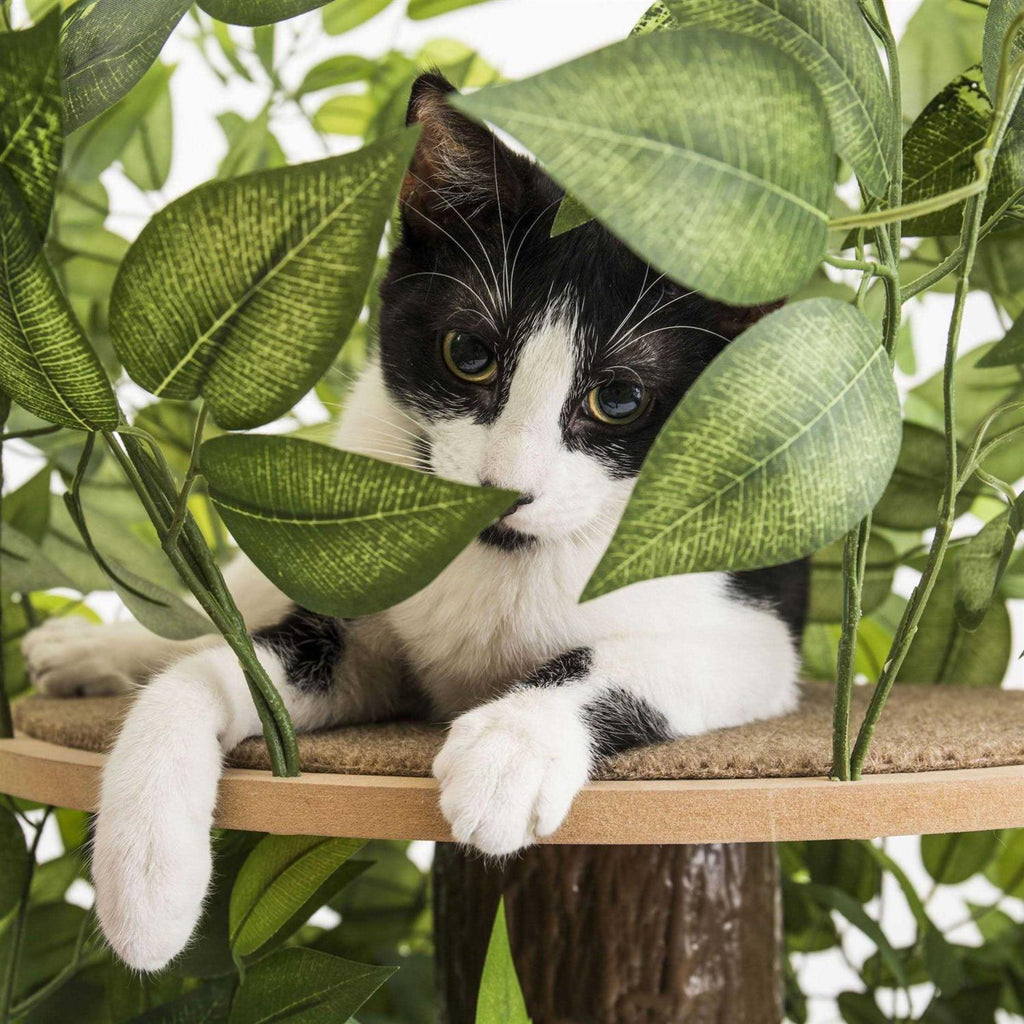 Cat Activity Tree Indoor Cat Tower O8168