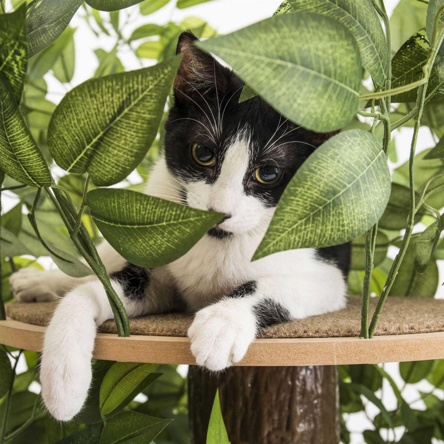 Cat Activity Tree Indoor Cat Tower O8168