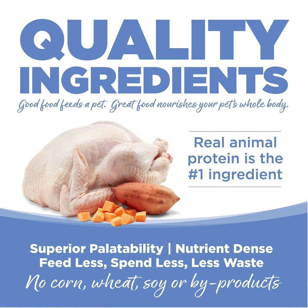 Grain-Free Turkey & Sweet Potato Dry Dog Food S245