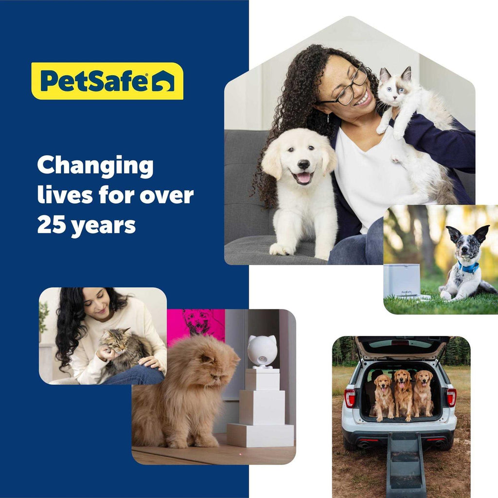Cat Toy T941