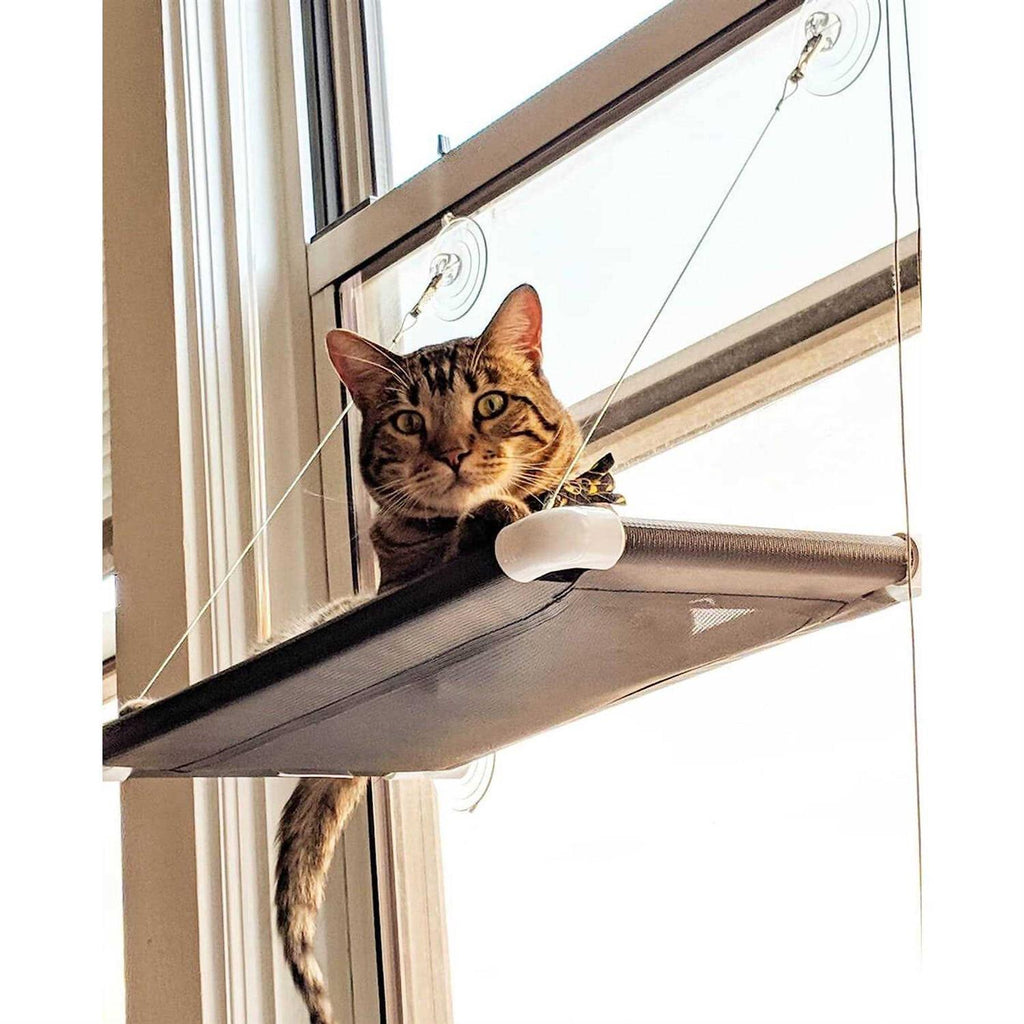 Kitty Cot Original World's Best Cat Perch - Pet Supplies online store