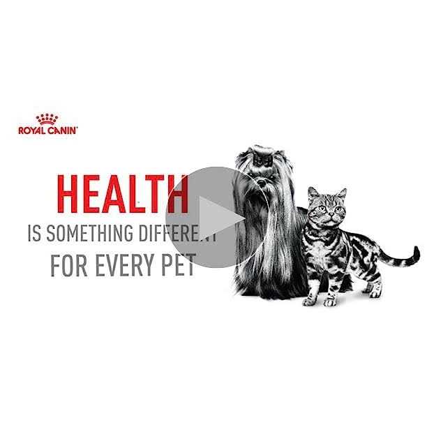 Ragdoll Adult Cat Food L70060