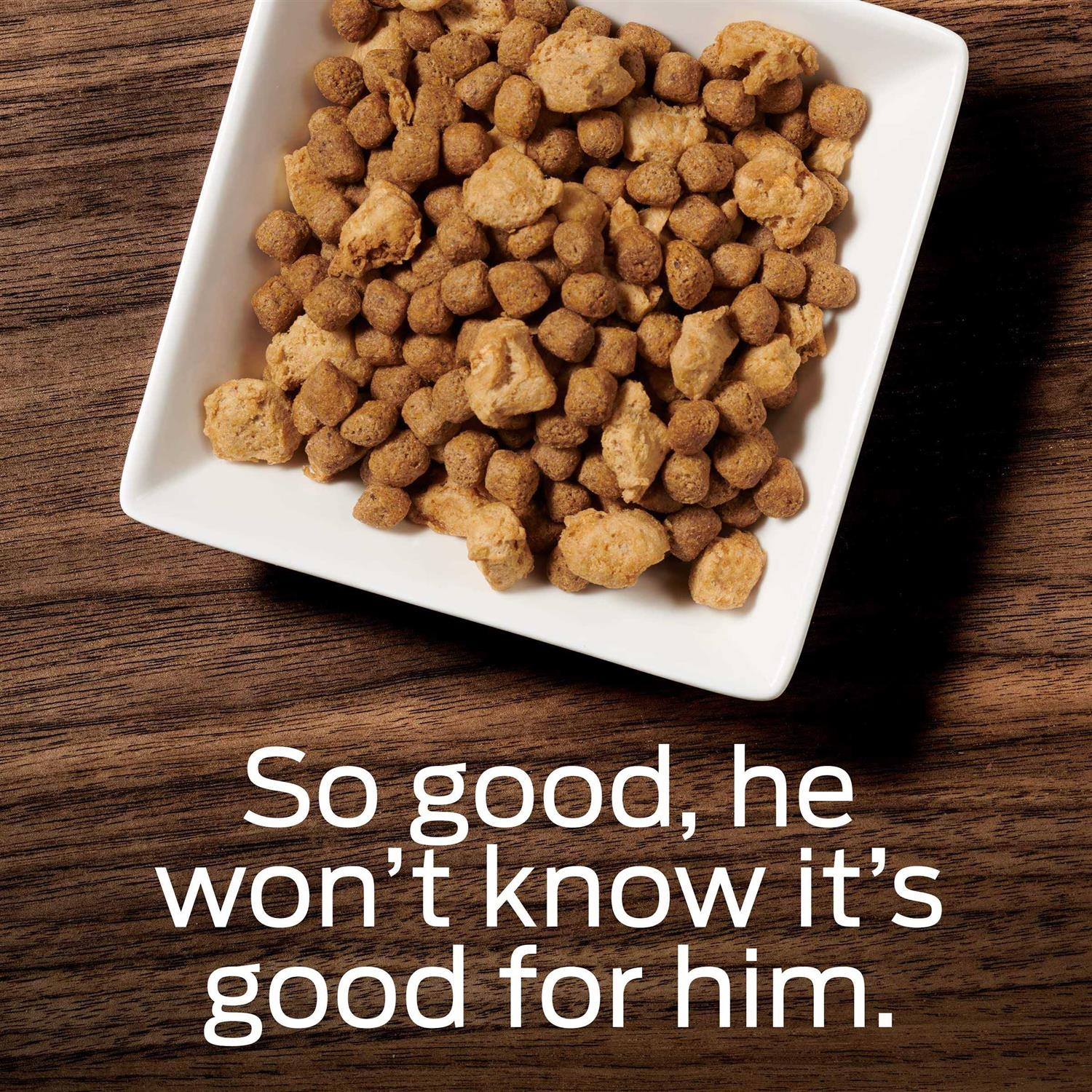 Overweight Management Dry Dog Food E827