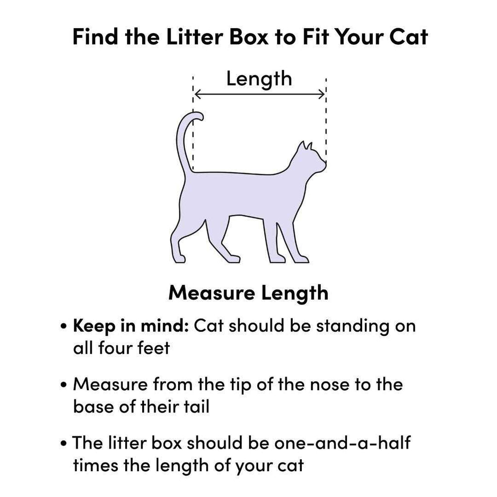 Cat Litter Pan B7972