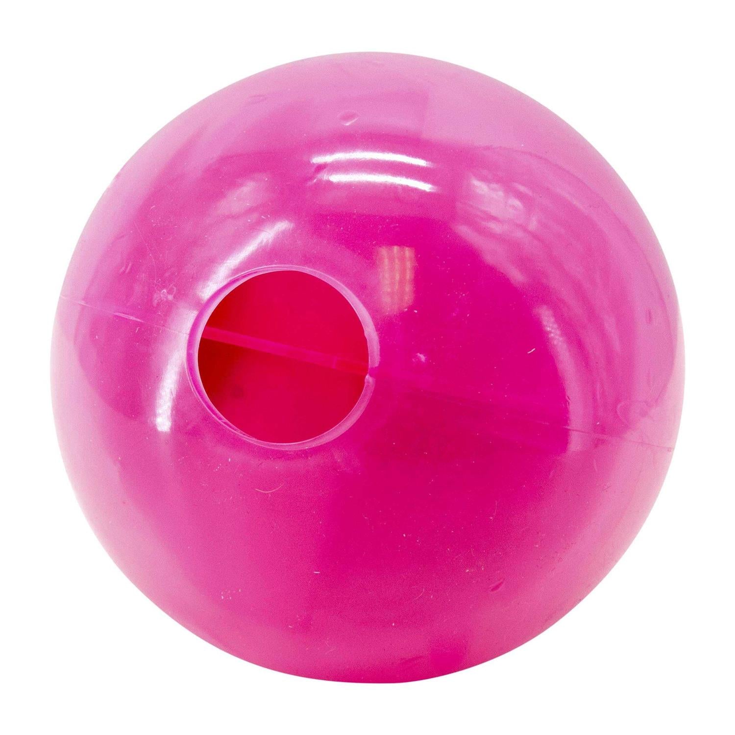 Maze Puzzle Dog Toy O2082