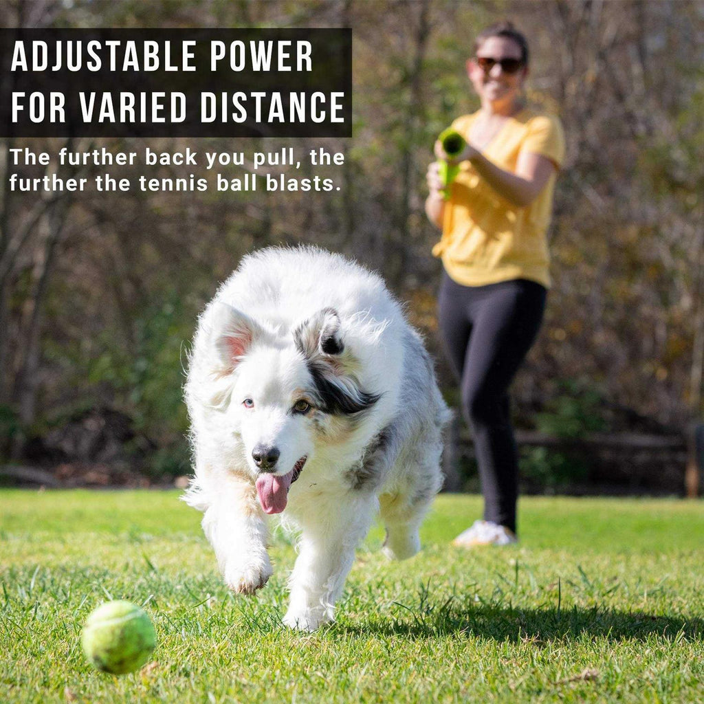 Dog Ball Launcher for Outdoor Play C26978