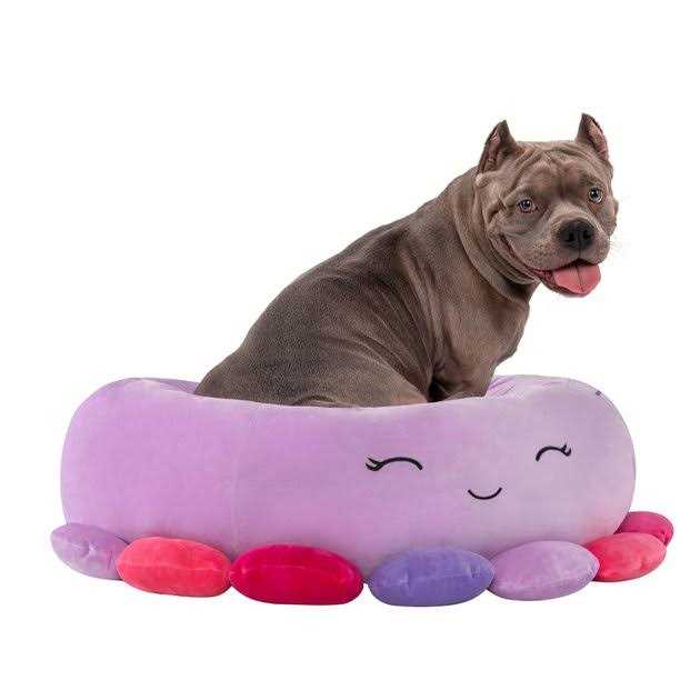 Octopus Pet Bed Z923
