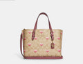 Coach Mollie Tote 25 Heart Stripe Print Crossbody CA252 $398 NWT