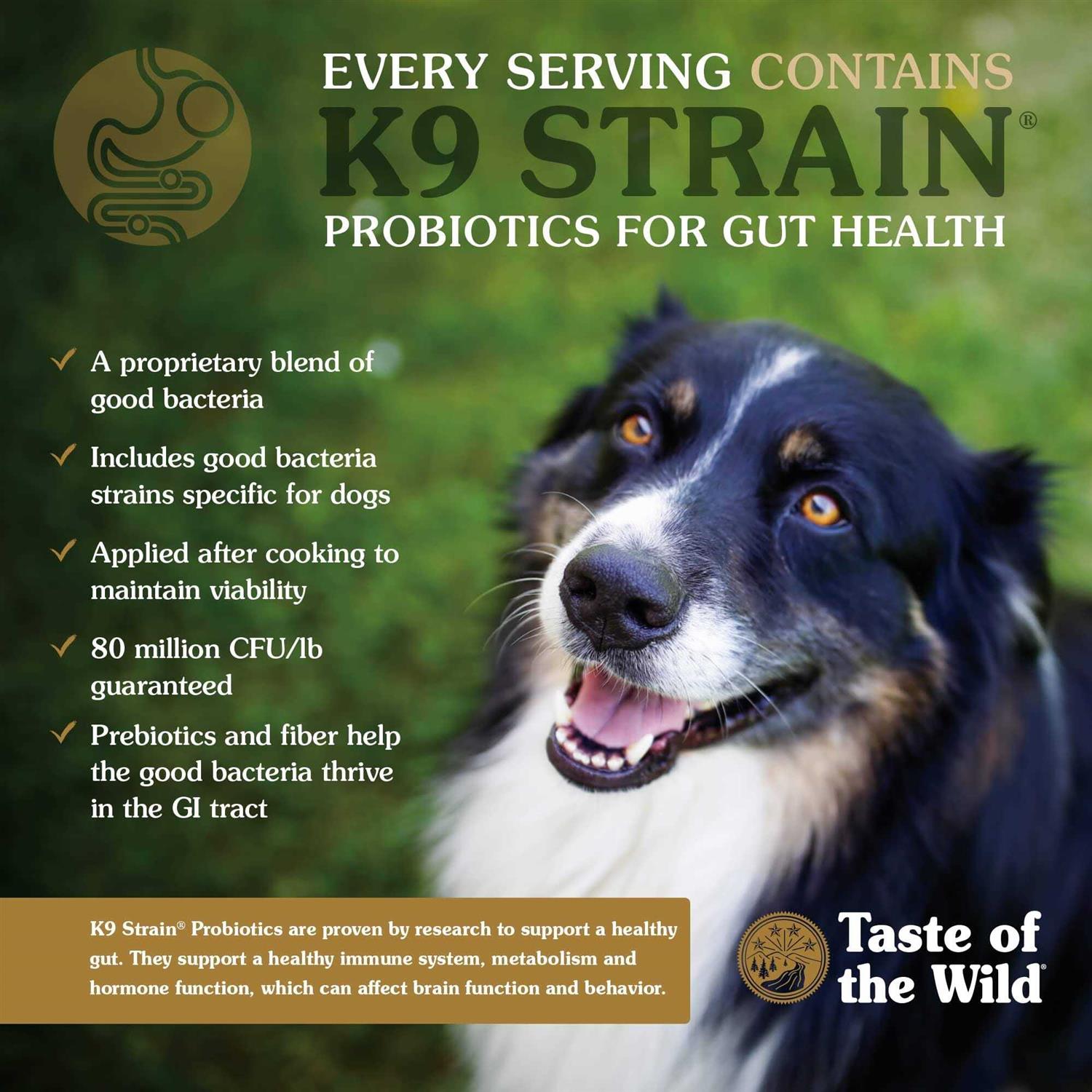 Smoked Salmon Dog Food S892833