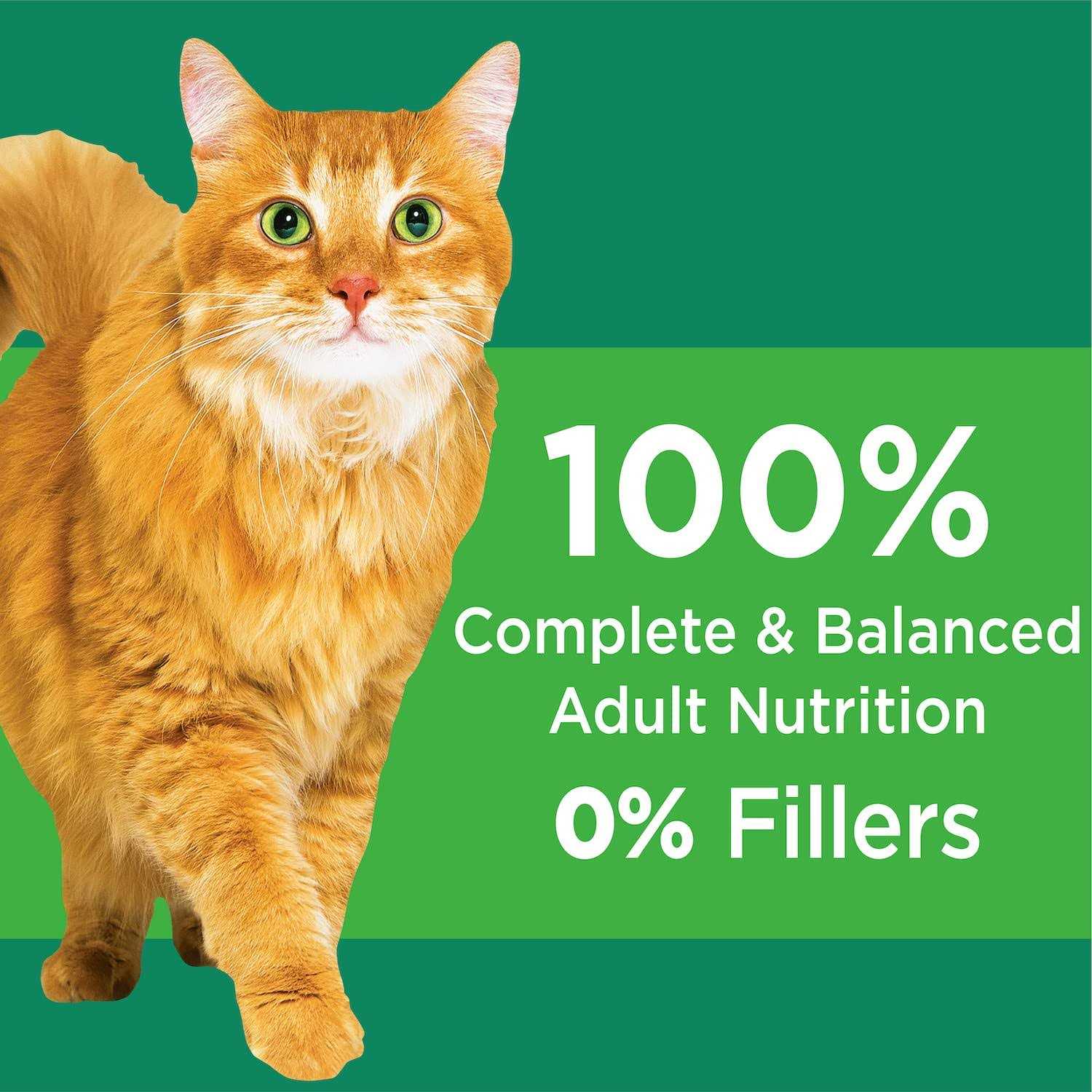 Senior Dry Cat Food Y162087