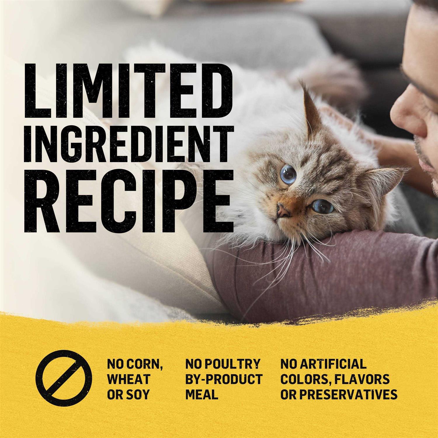 Cat Dry Food C236