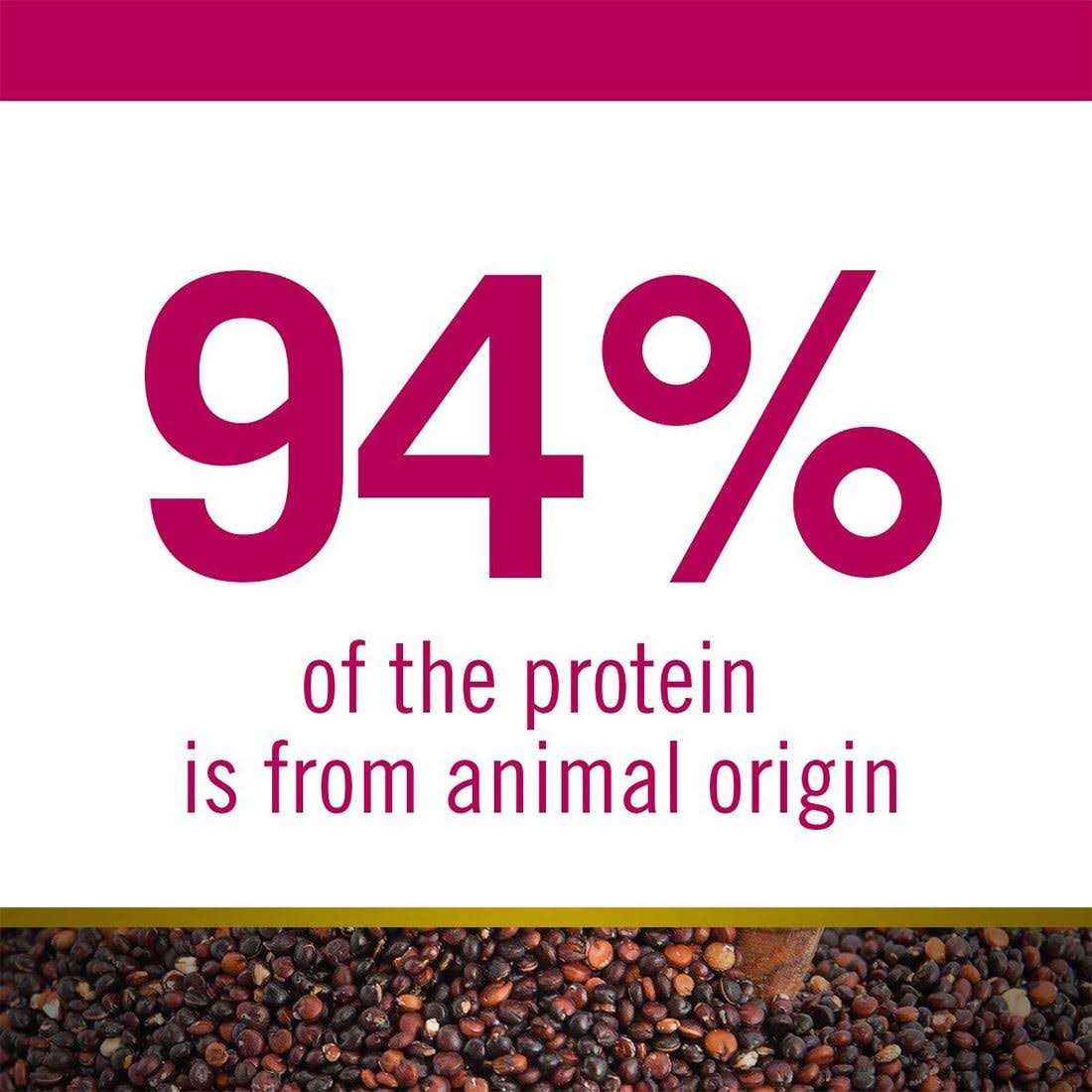 Quinoa Dog Food V484565