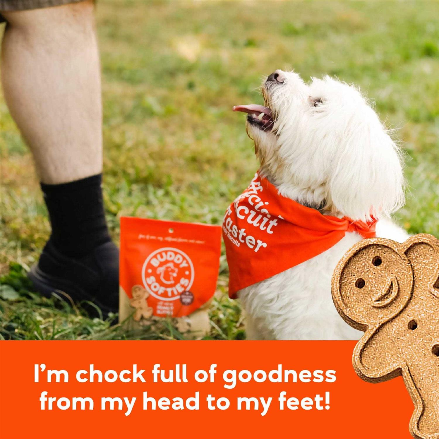 Soft and Chewy Peanut Butter Dog Treats M884