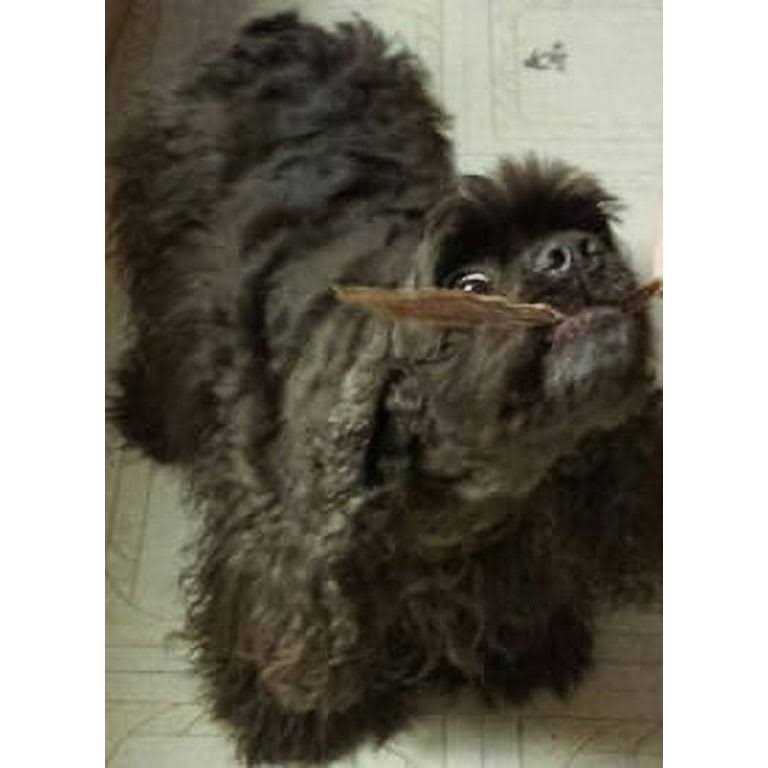 Duck Jerky Strips for Pets K978267