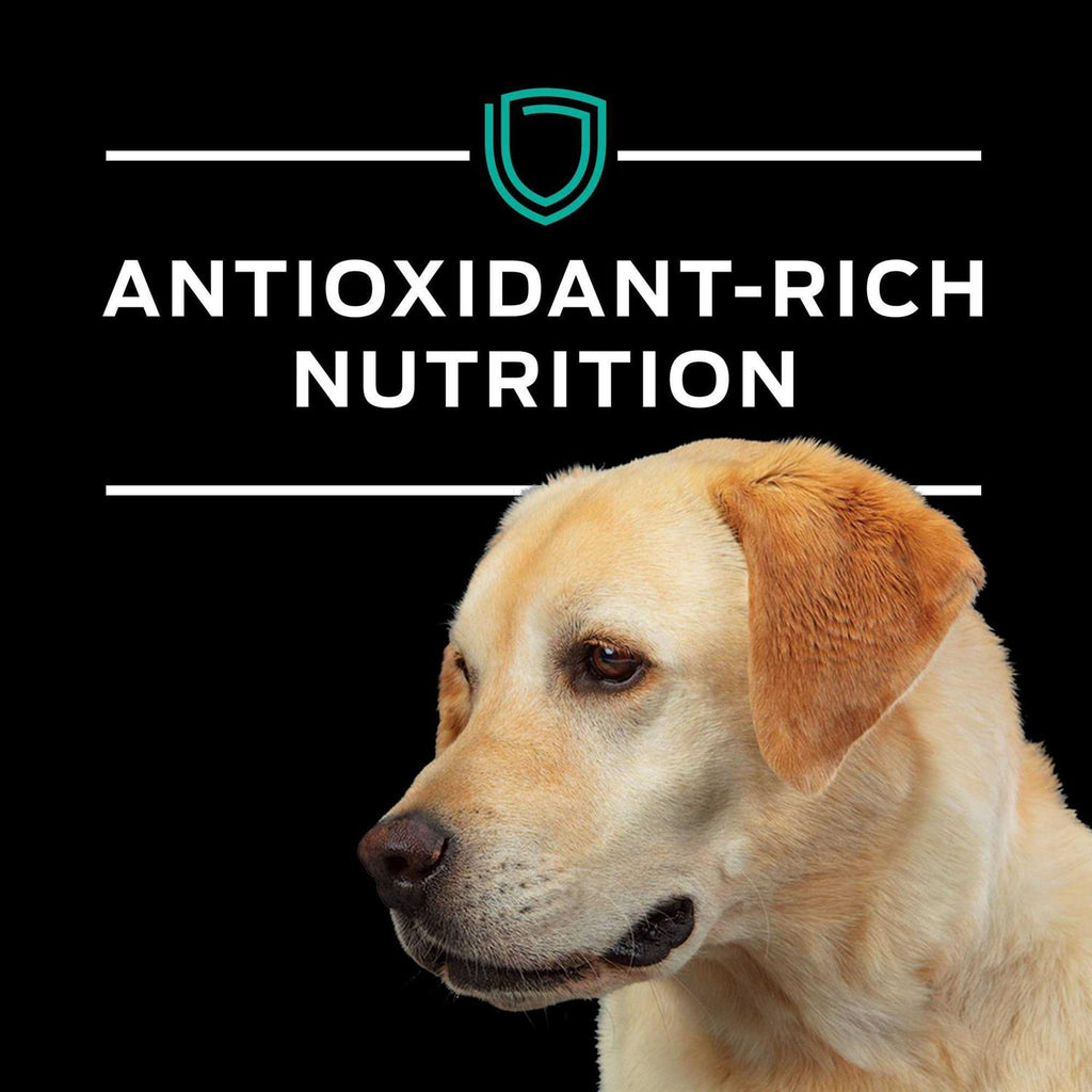 Gastroenteric Formula Dry Dog Food G92453