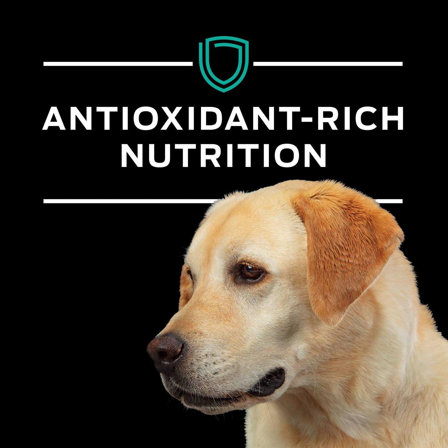 Gastroenteric Formula Dry Dog Food G92453