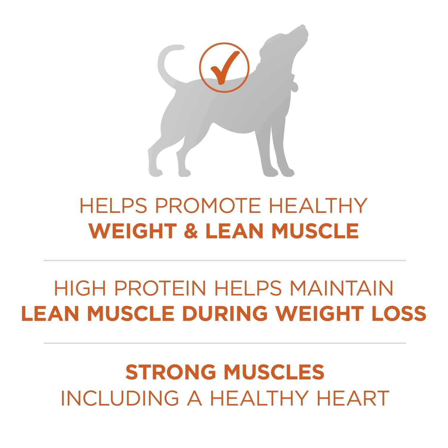Dry Dog Food Weight Management Formula A3163