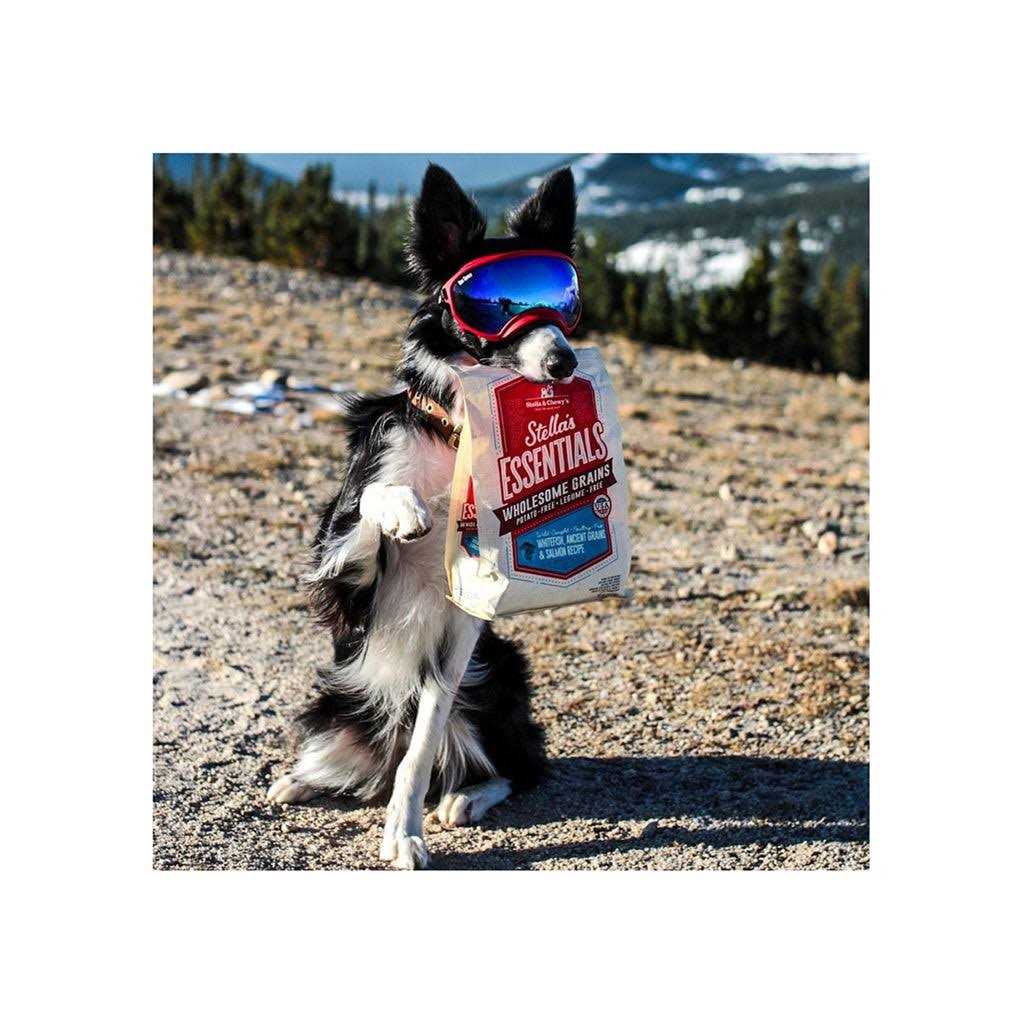 Ancient Grains Recipe Dog Food B91760