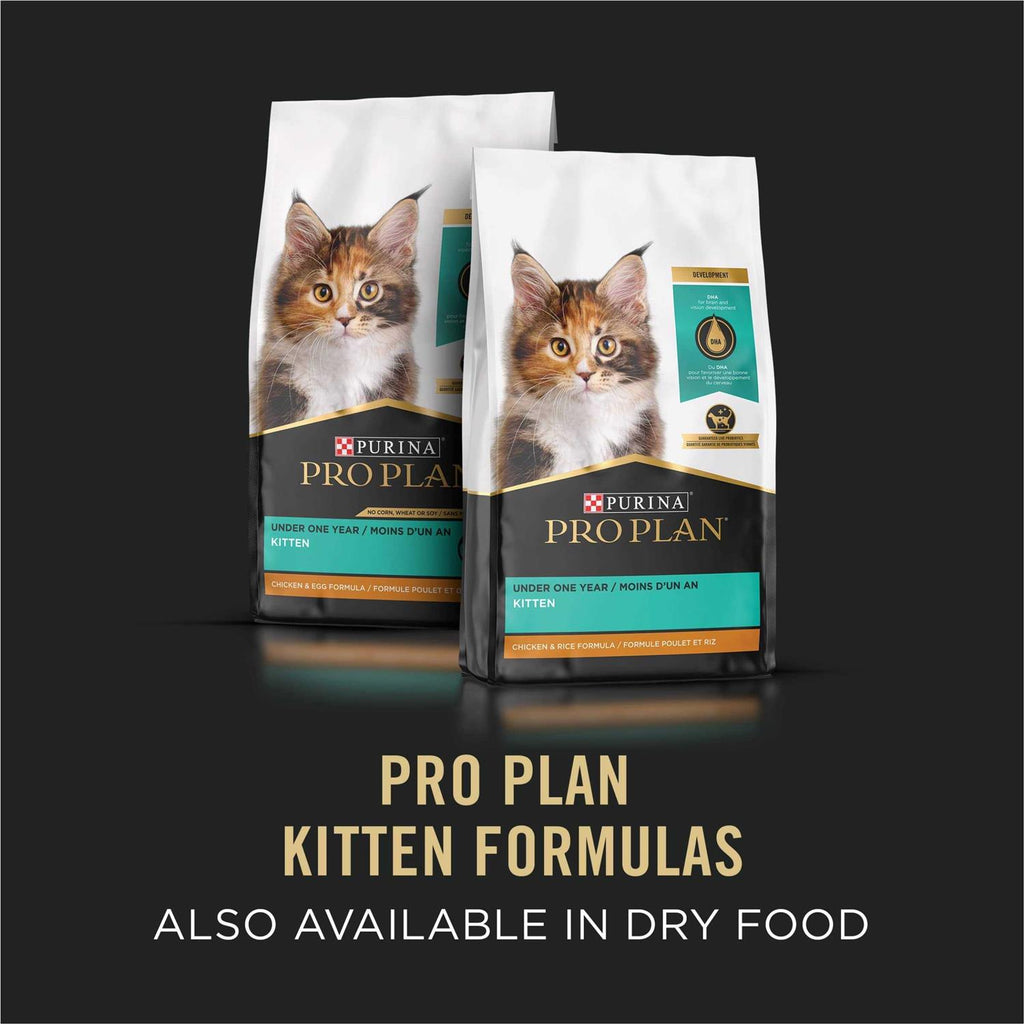 Kitten Flaked Ocean Whitefish & Tuna Canned Cat Food D964024