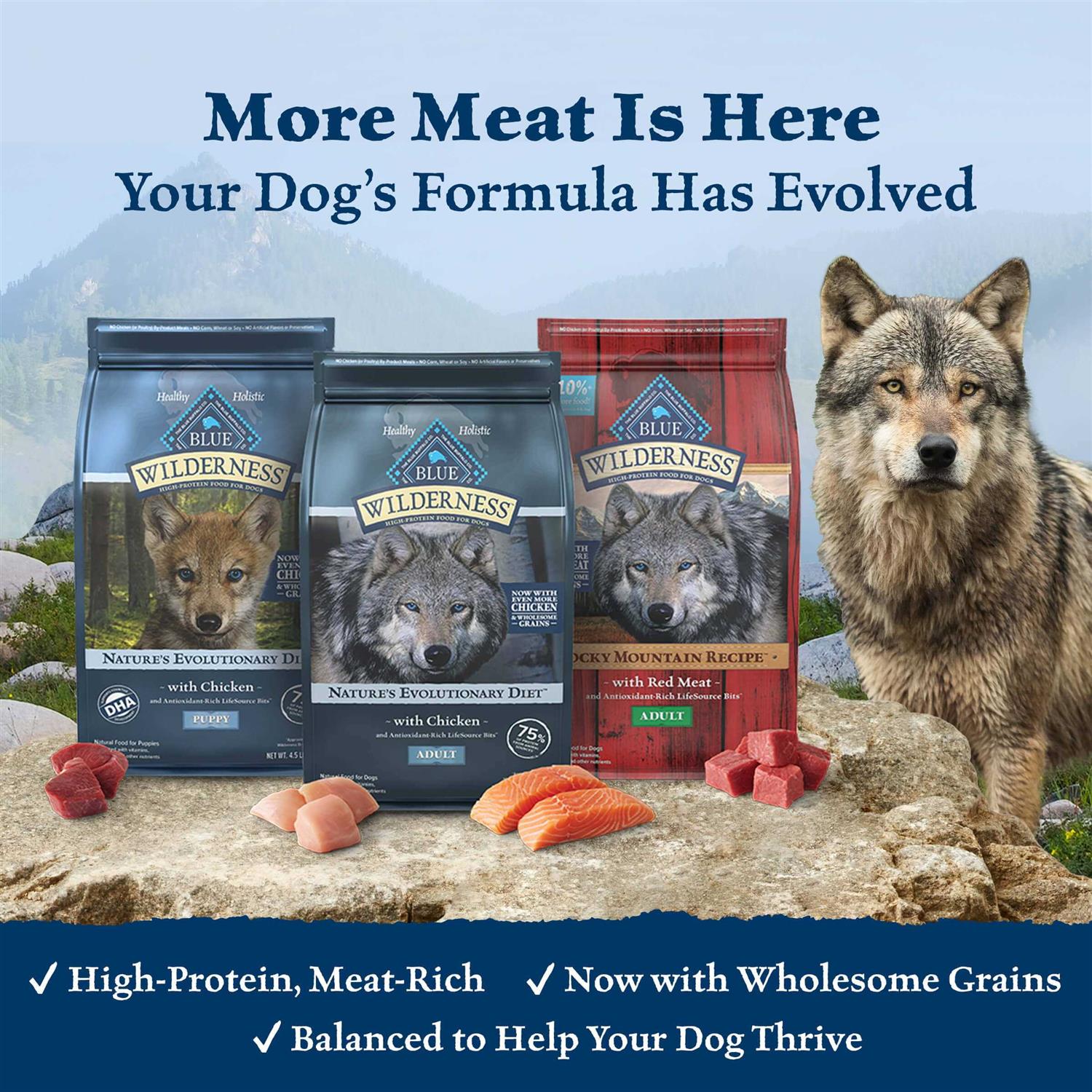 Wilderness Dog Food J61400