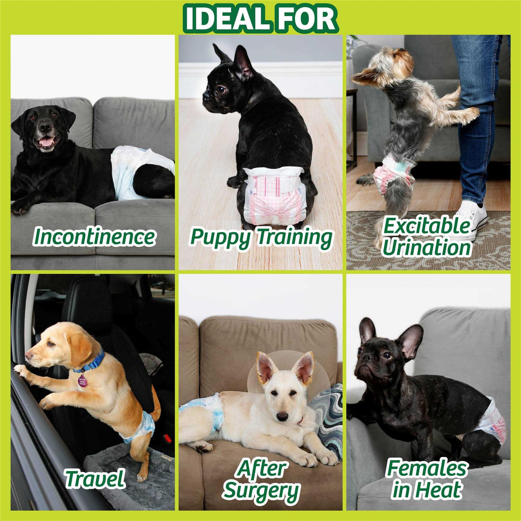 Disposable Male & Female Dog Diapers K6763