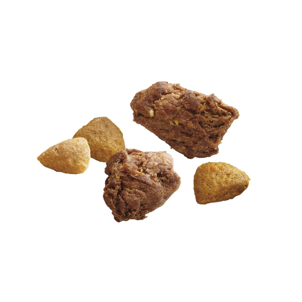 Real Turkey & Venison Dry Dog Food H807