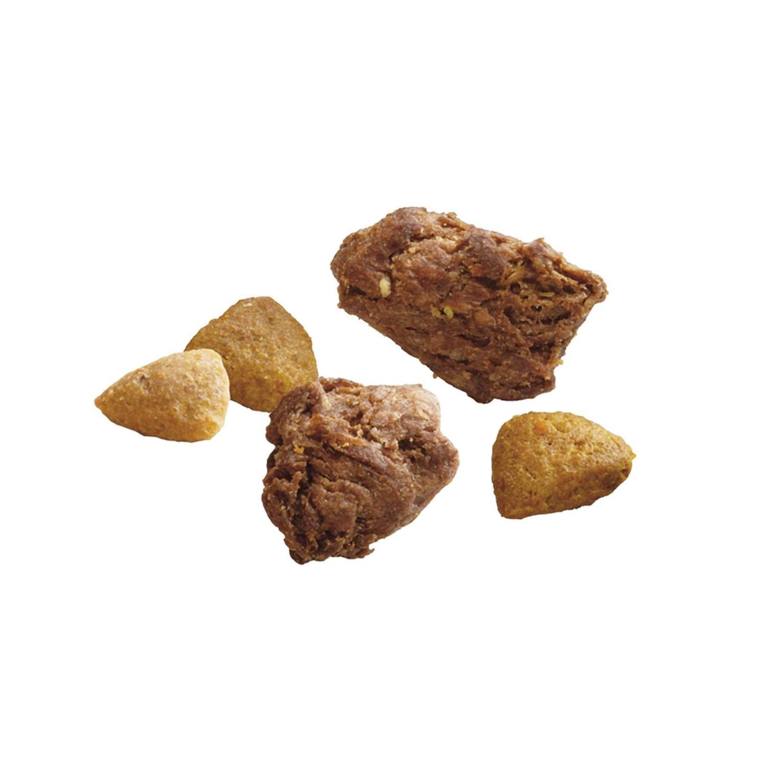 Real Turkey & Venison Dry Dog Food H807