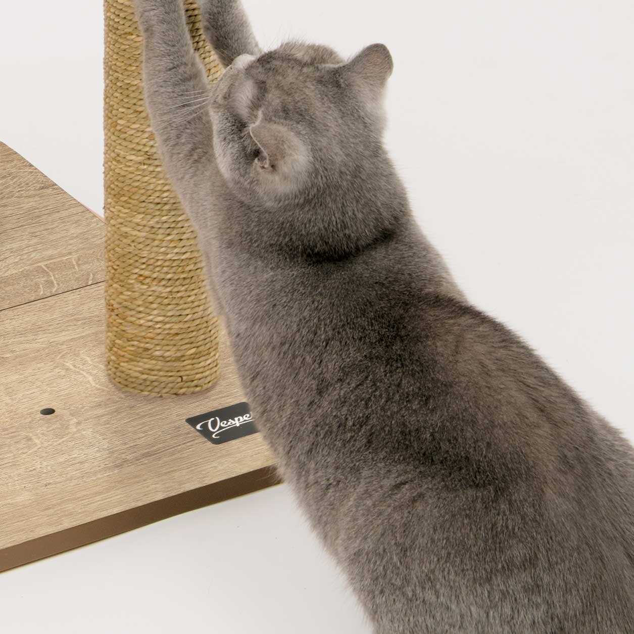 Cat Tree High Base Oak D54286