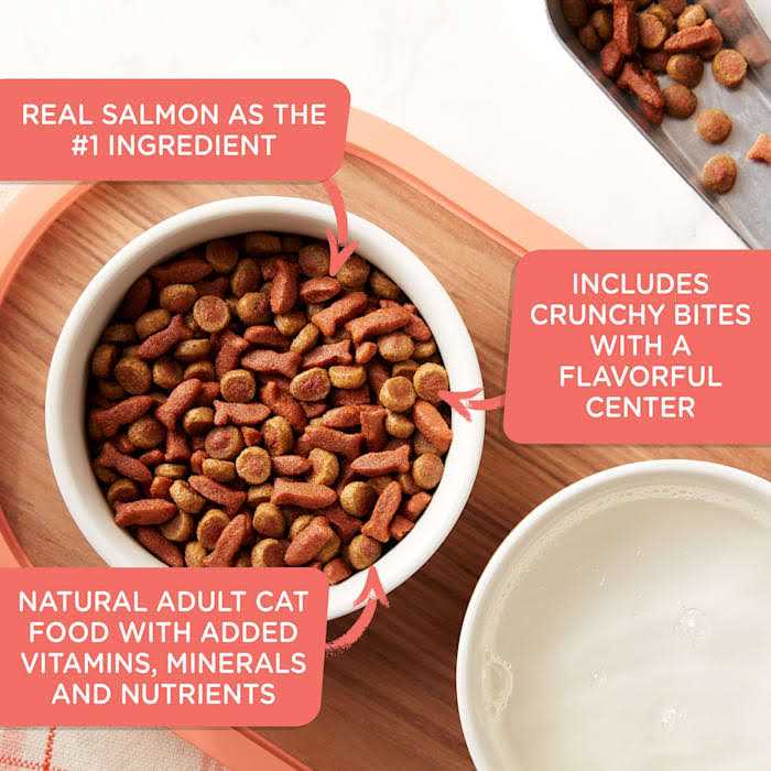 Savory Bites Dry Cat Food A9931
