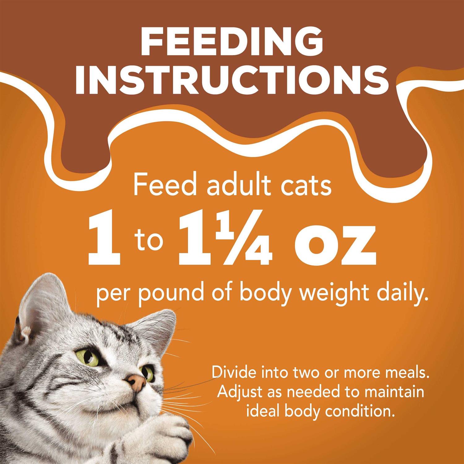 Chunky Wet Cat Food Variety Pack P709566