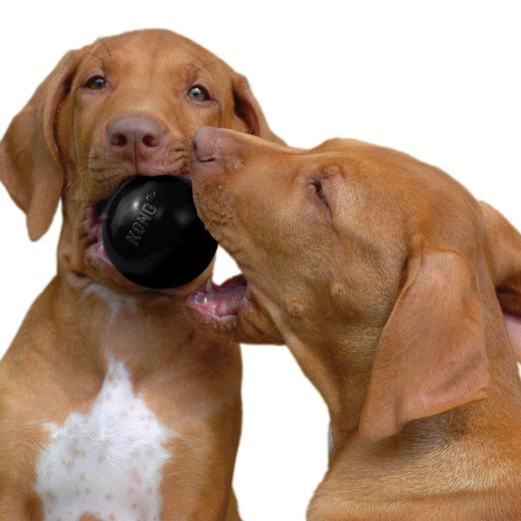 Kong Ball Dog Toy A835285