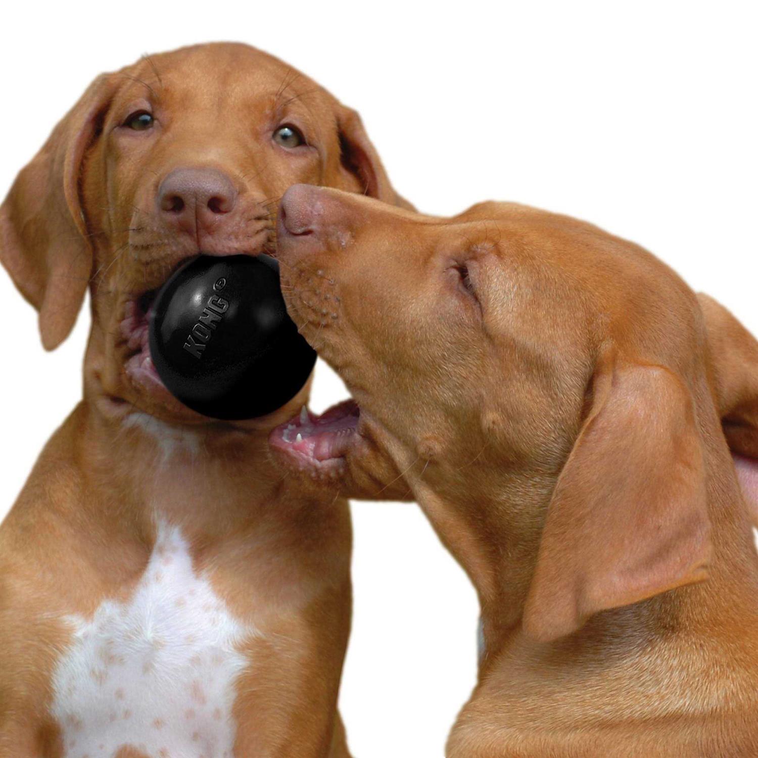 Kong Ball Dog Toy A835285