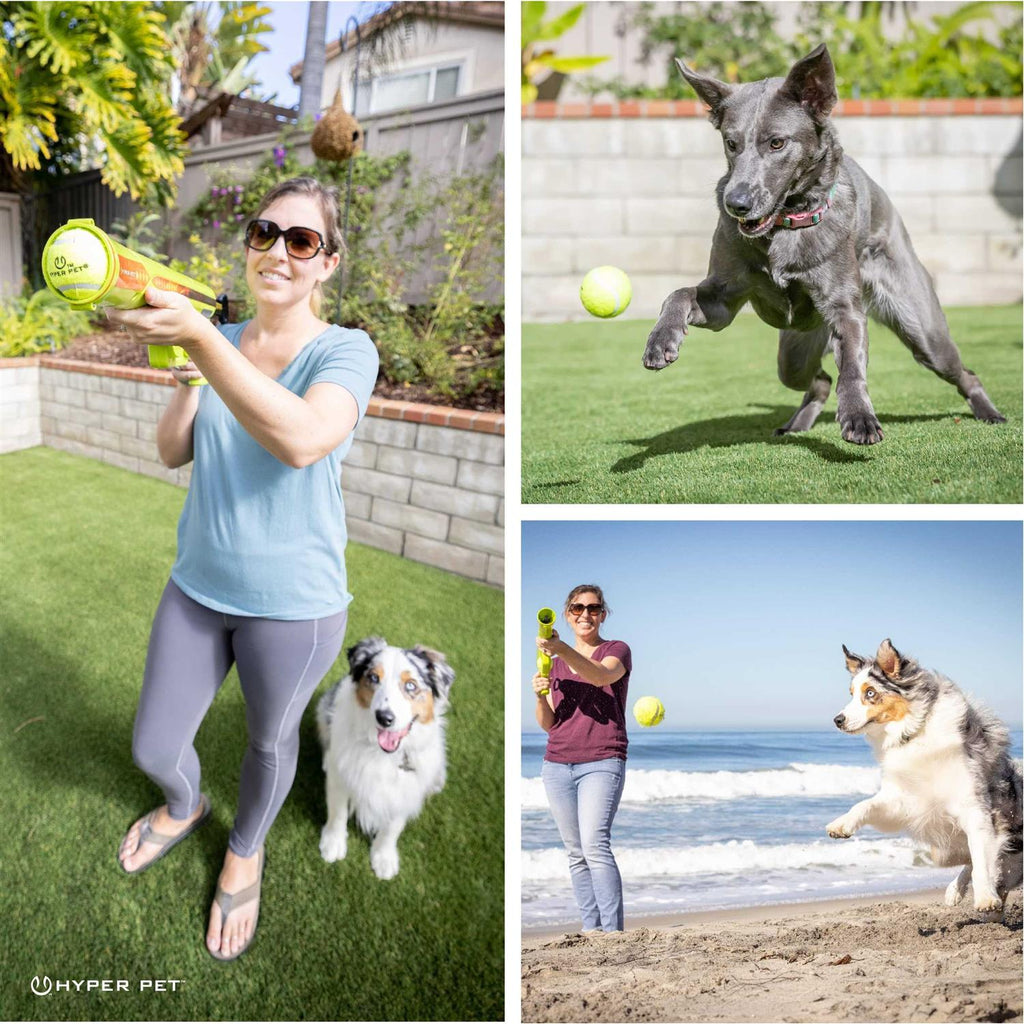 Dog Ball Launcher for Outdoor Play C26978