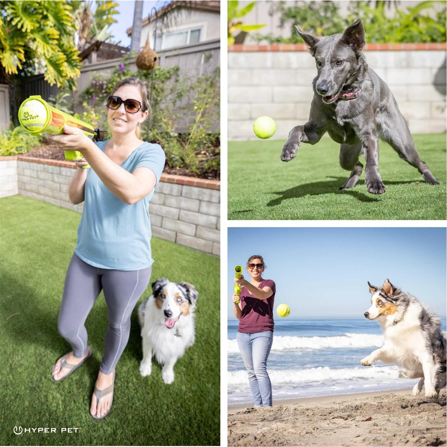 Dog Ball Launcher for Outdoor Play C26978
